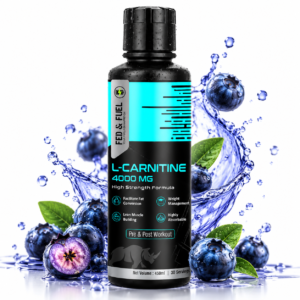 L-carnitine - 4000 MG